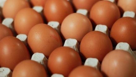 Incipient Infertility: Tracking eggs and ovulation across the life course
