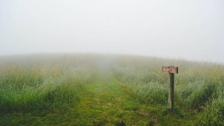[POSTPONED]  Which ways are we going? Notes on the sociology of class in Australia