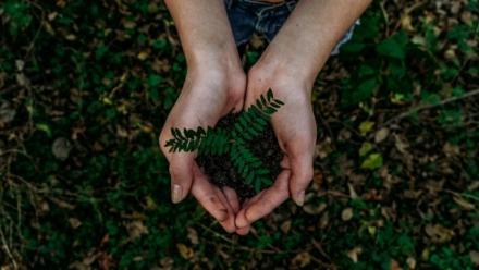Bridging the Languages of the Biophysical and the Social in Expert Advice on Sustainability: Reflections on the International Resource Panel