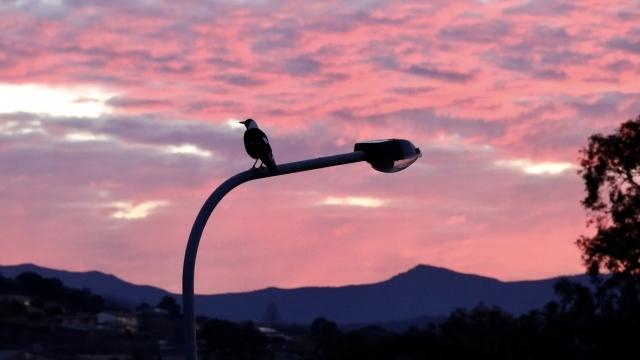 Towards Ecosocial Cities? Urban-Nature Encounters and Relations