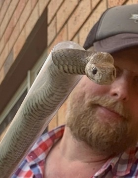 Gavin Smith holding a brown snake