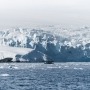 Photo of Antarctica