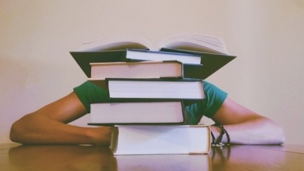 Study skills for the social sciences: reading critically and conducting research